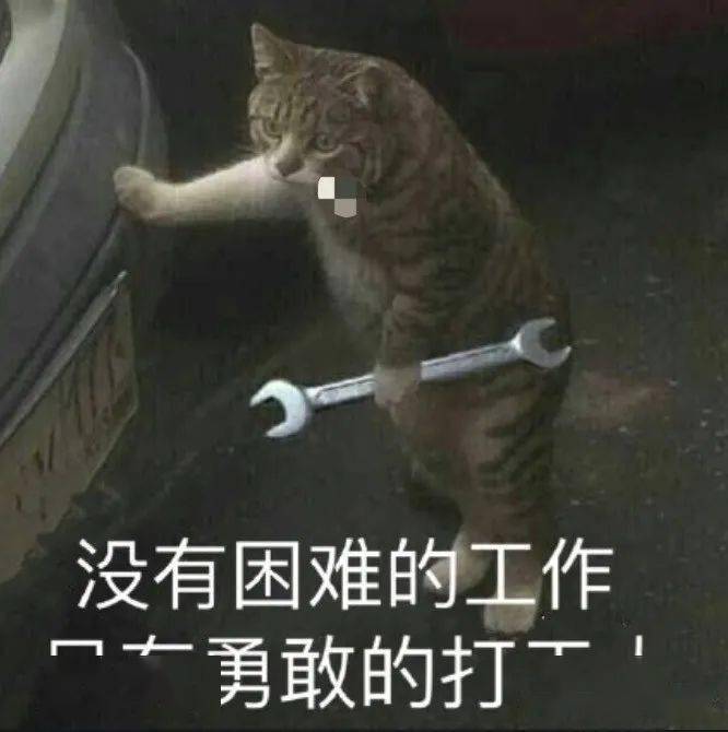 78fcd834379f495085b556efcce17c1c.jpeg