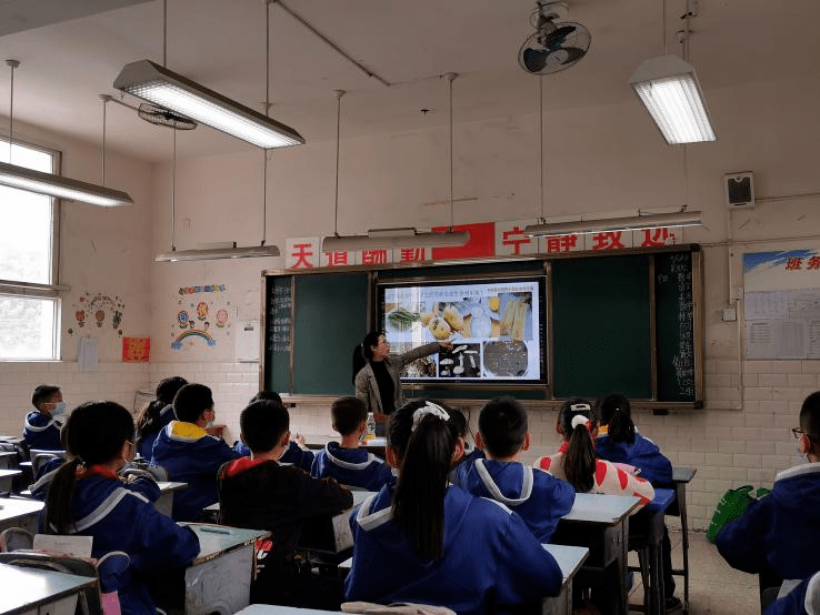 郫县实验学校图片