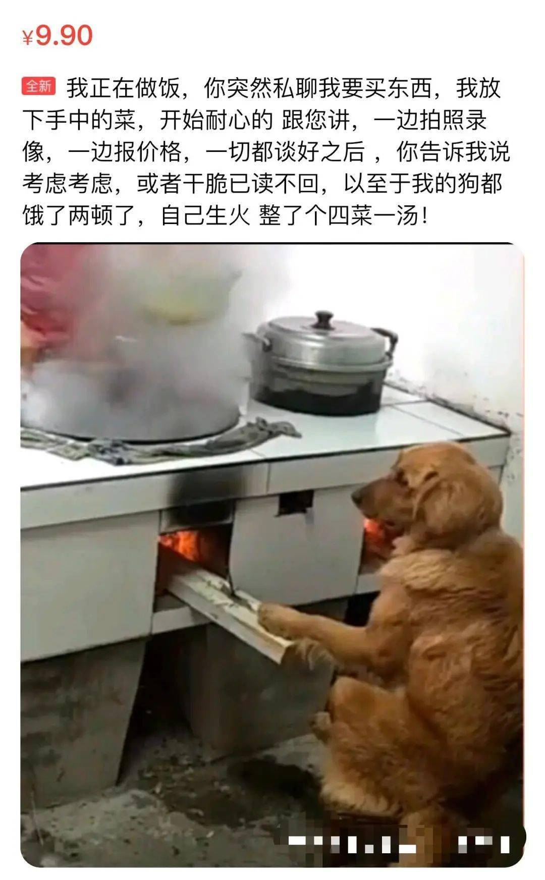 闲鱼上的奇葩文学家,笑到我妈让我改行吹唢呐