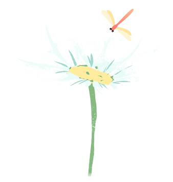 我为群众办实事 村落阡陌鲜花美乡村环境更宜人 肖家林村