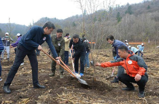 植樹造林健康行同心共鑄中國心公益活動走進延邊