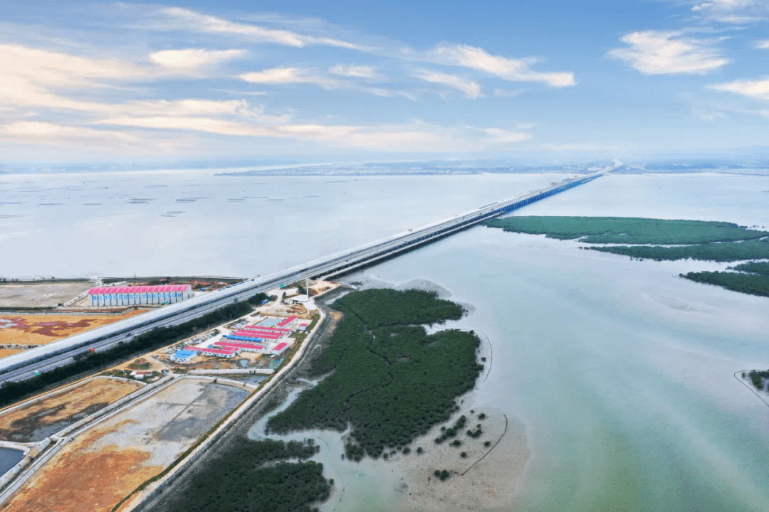 喜讯昨天铁山港跨海特大桥新桥通了