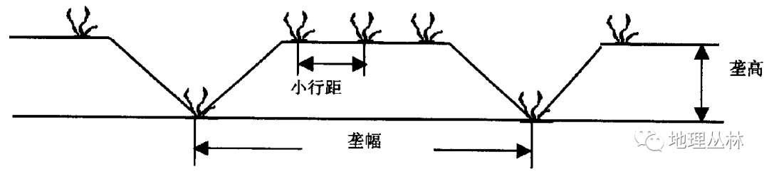 顺坡垄的优缺点图片