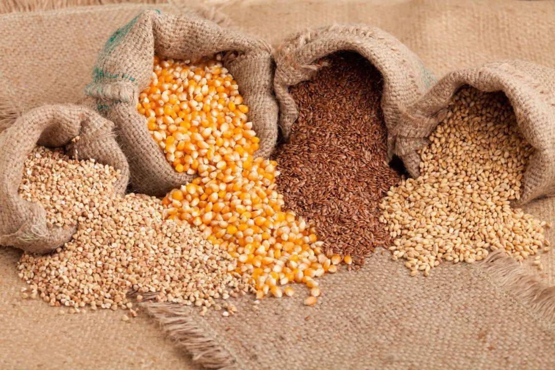 粗粮相当于我们平时吃的大米包括谷类的杂豆,薯类的,这些叫粗粮