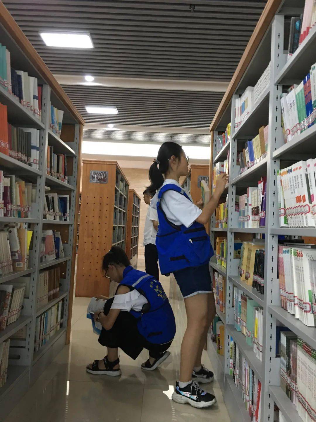 都需要经过图书馆工作人员的培训,了解图书分类和管理知识,能够按照