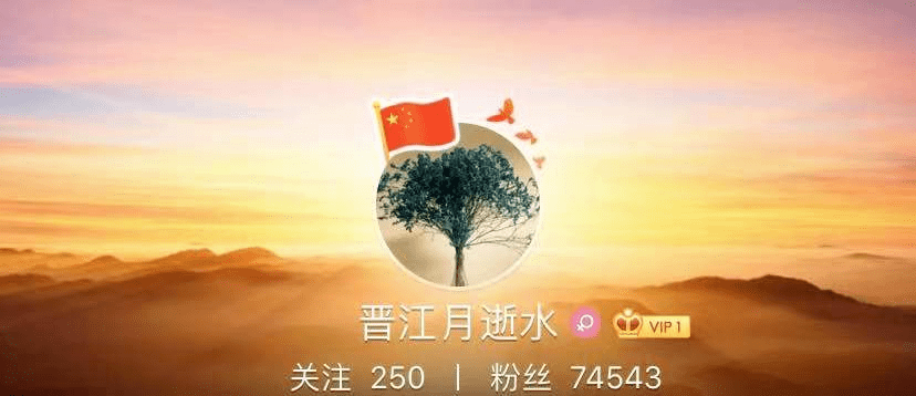 一个晋江网文作者留下遗书之后