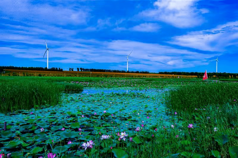 松原市文化广播电视和旅游局关于2021年"五一"假期旅游安全温馨提示