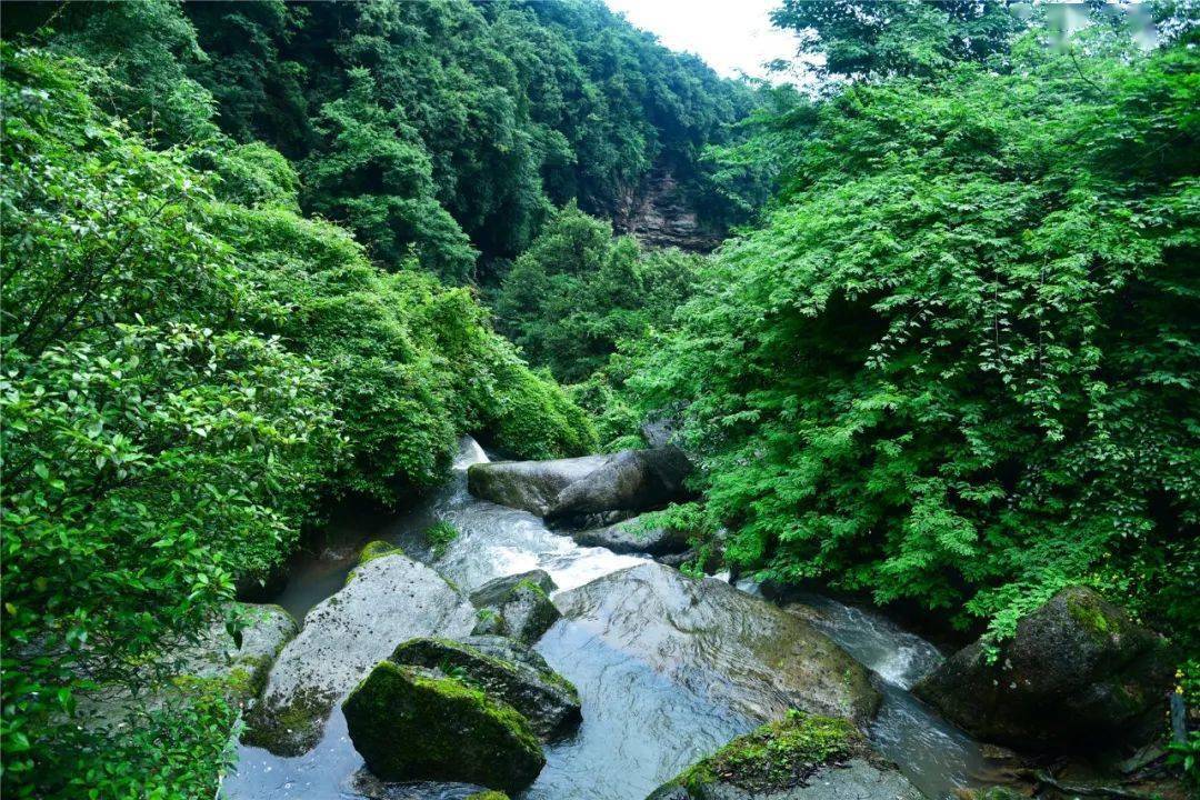 汉江源国家森林公园图片
