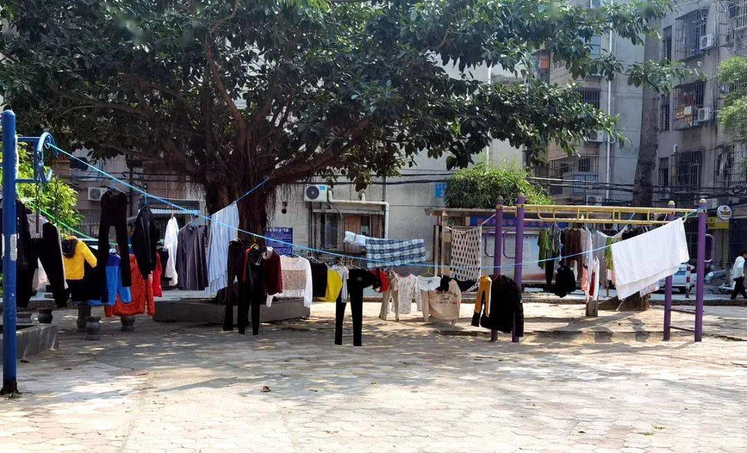 珠海某小区惊现共享晾衣架居民晒出满满的幸福