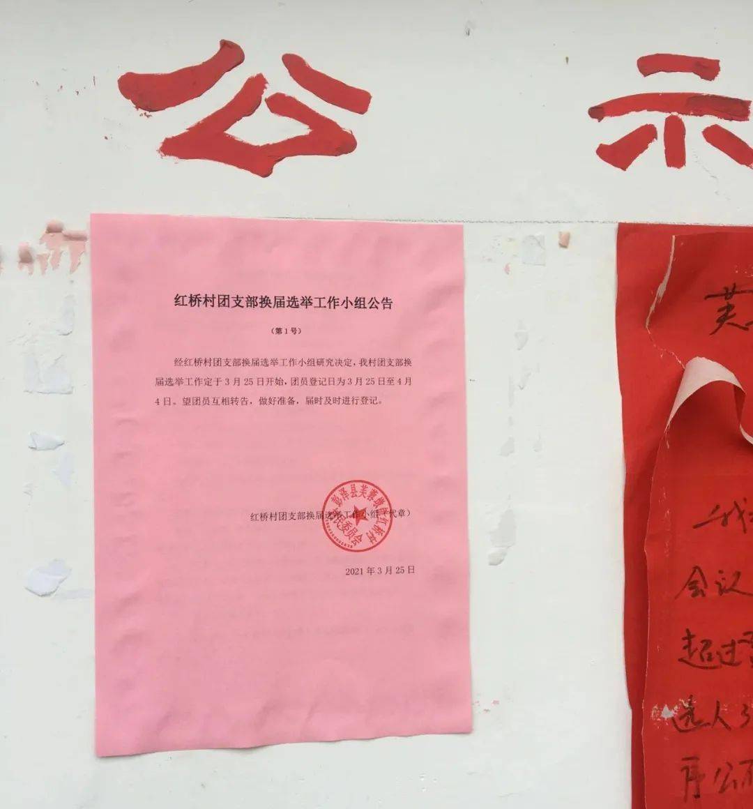 共青团彭泽县委圆满完成村社区团组织换届选举工作