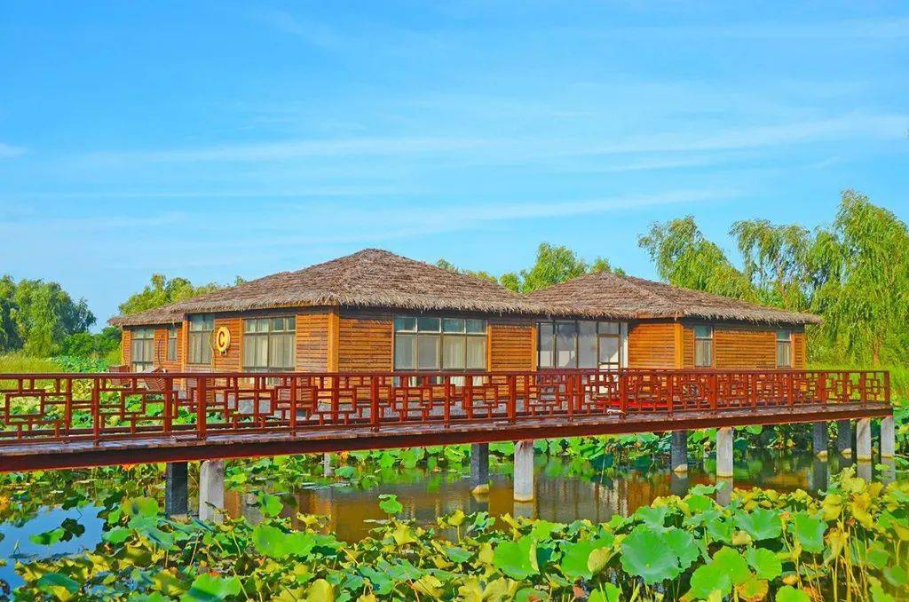 洪泽湖湿地景区五一最全攻略来袭!一帖解锁n种玩法_泗洪