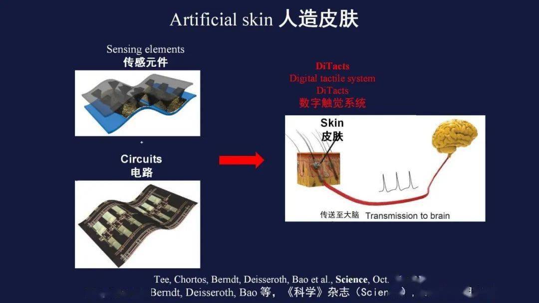 那么,人造皮肤,需要有哪些最主要的部分呢?