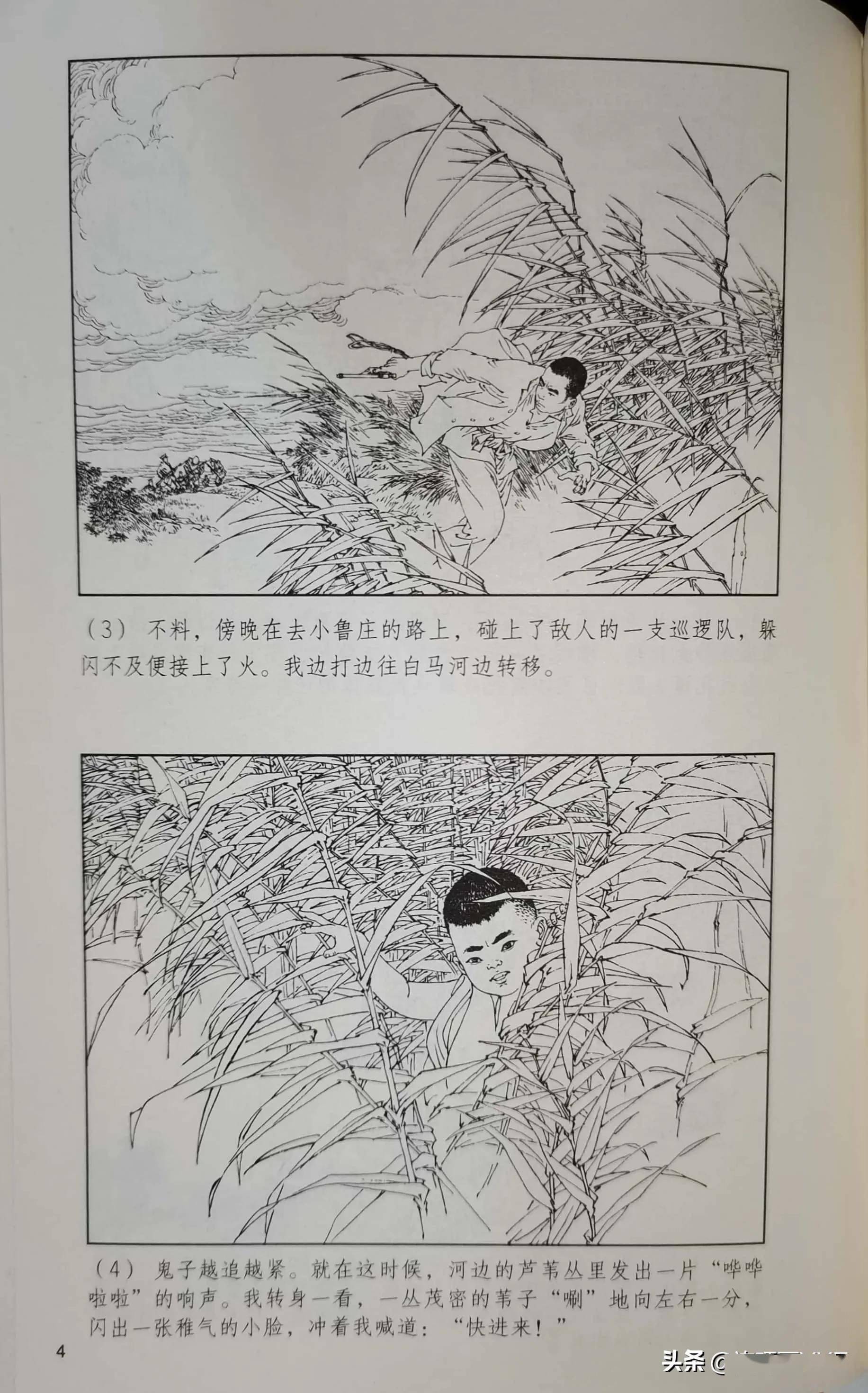 《芦荡小英雄》,由范生福绘画,绘画十分精美