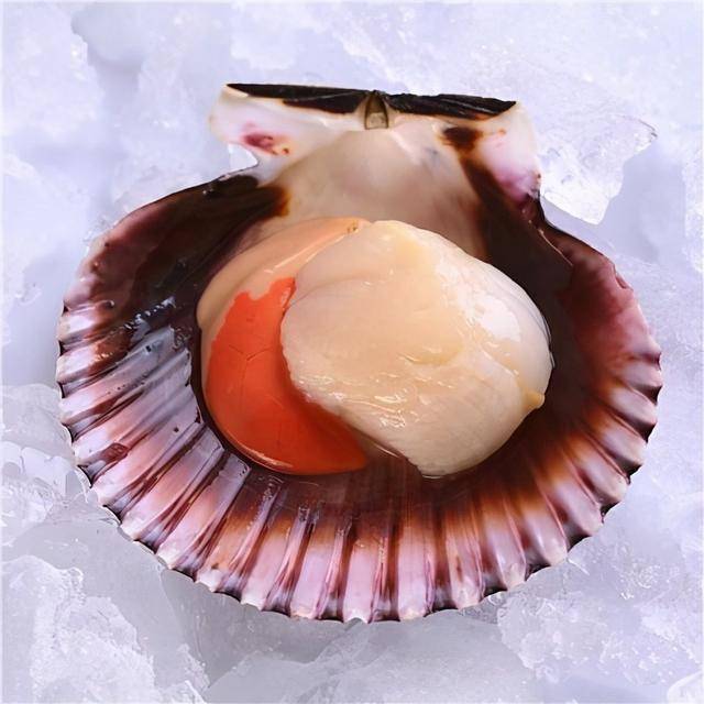 生物层面的压力源_世间生物压力_生物压力有哪些