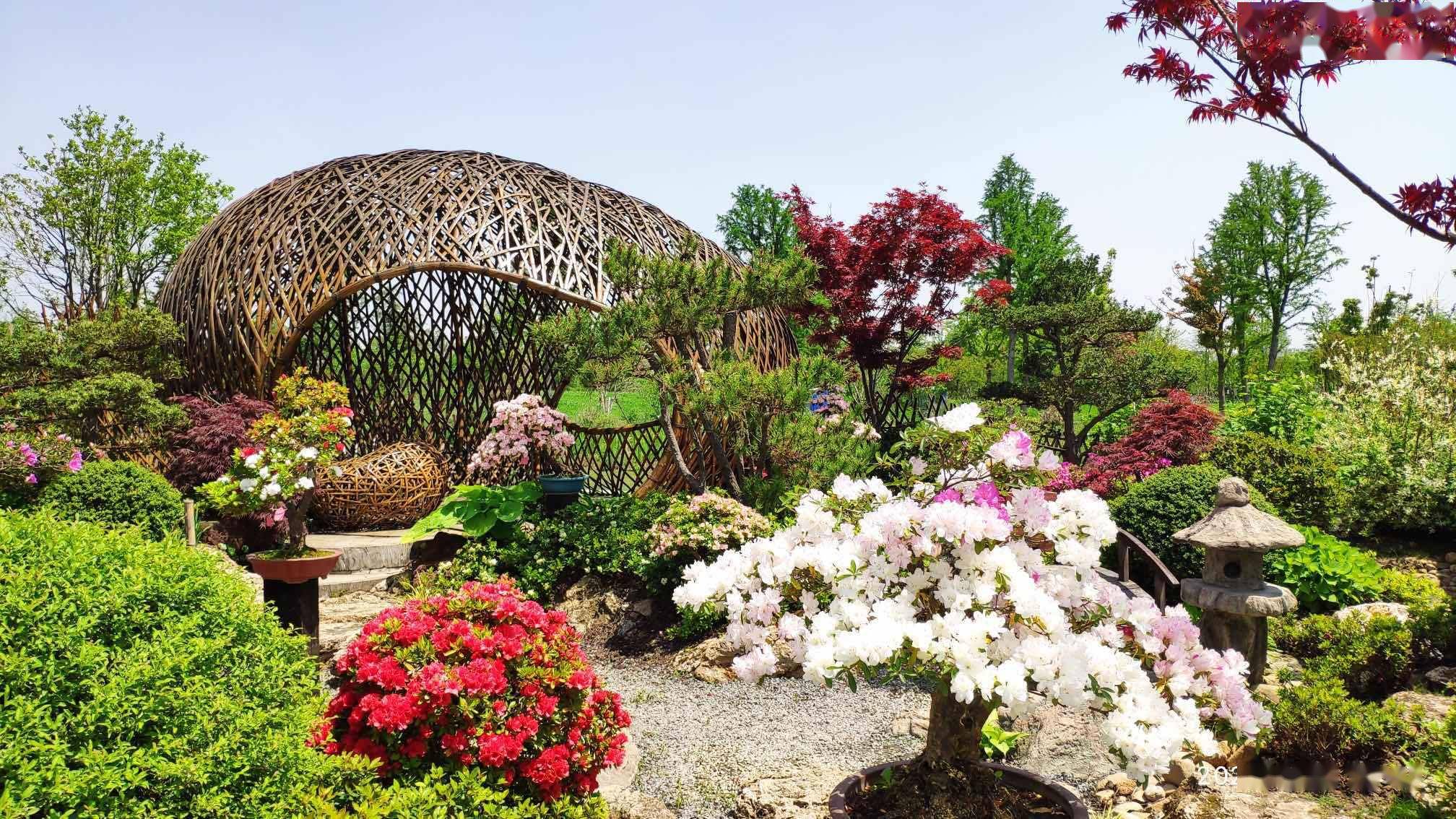 2021年上海(国际)花展奉贤上海之鱼会场暨"奉贤区创建国家生态园林