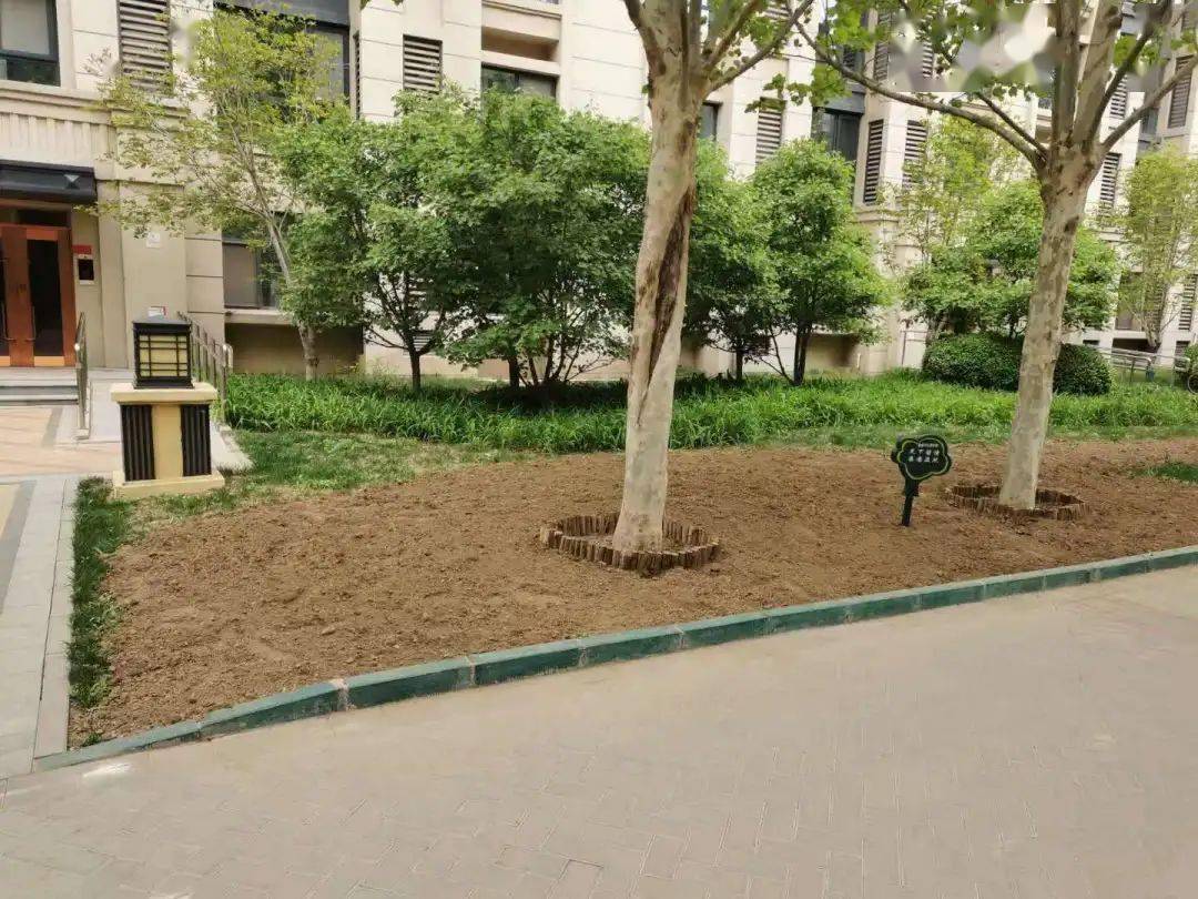 顺义区园林绿化局开展居住区居住小区绿地问题专项治理行动
