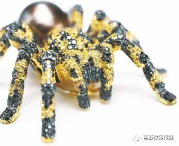 ԭ������Ҳ���鱦���ʦ�������˹����ʱ�˵������鱦�� ...