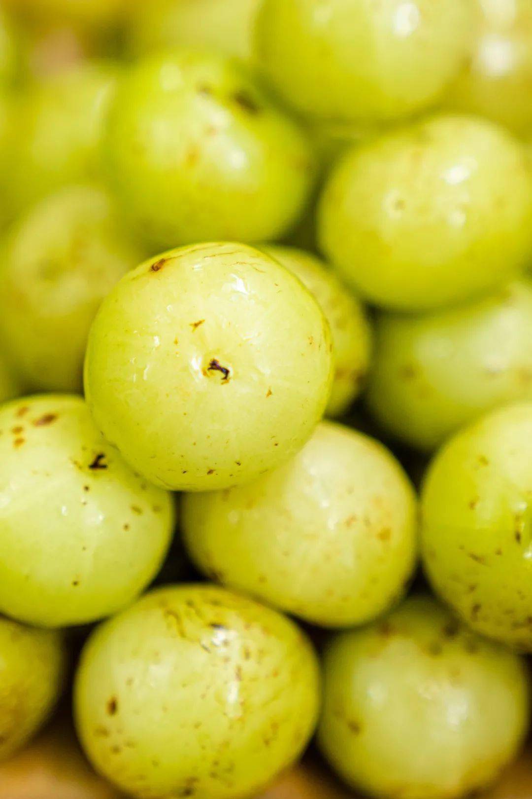 油柑断货,没有一个潮汕人是无辜的!(附油柑汁测评)_甜度