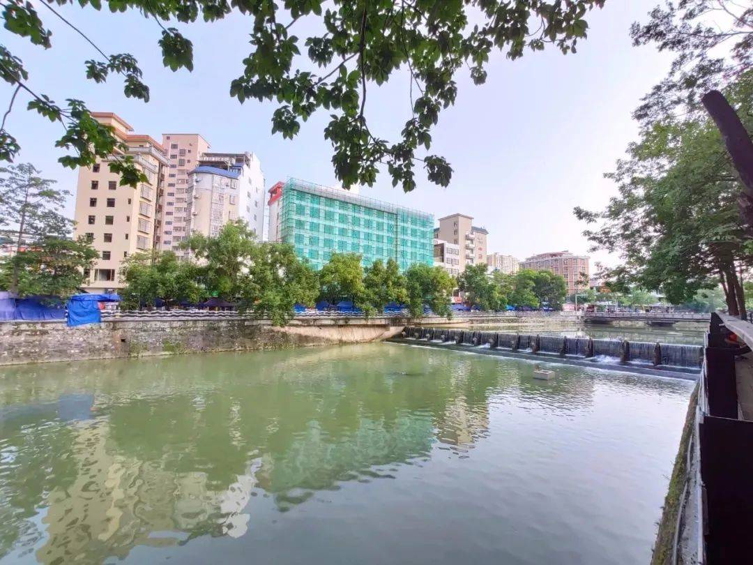 2021年1-3月云浮市各县(市,区)水环境质量排名情况公布_郁南县