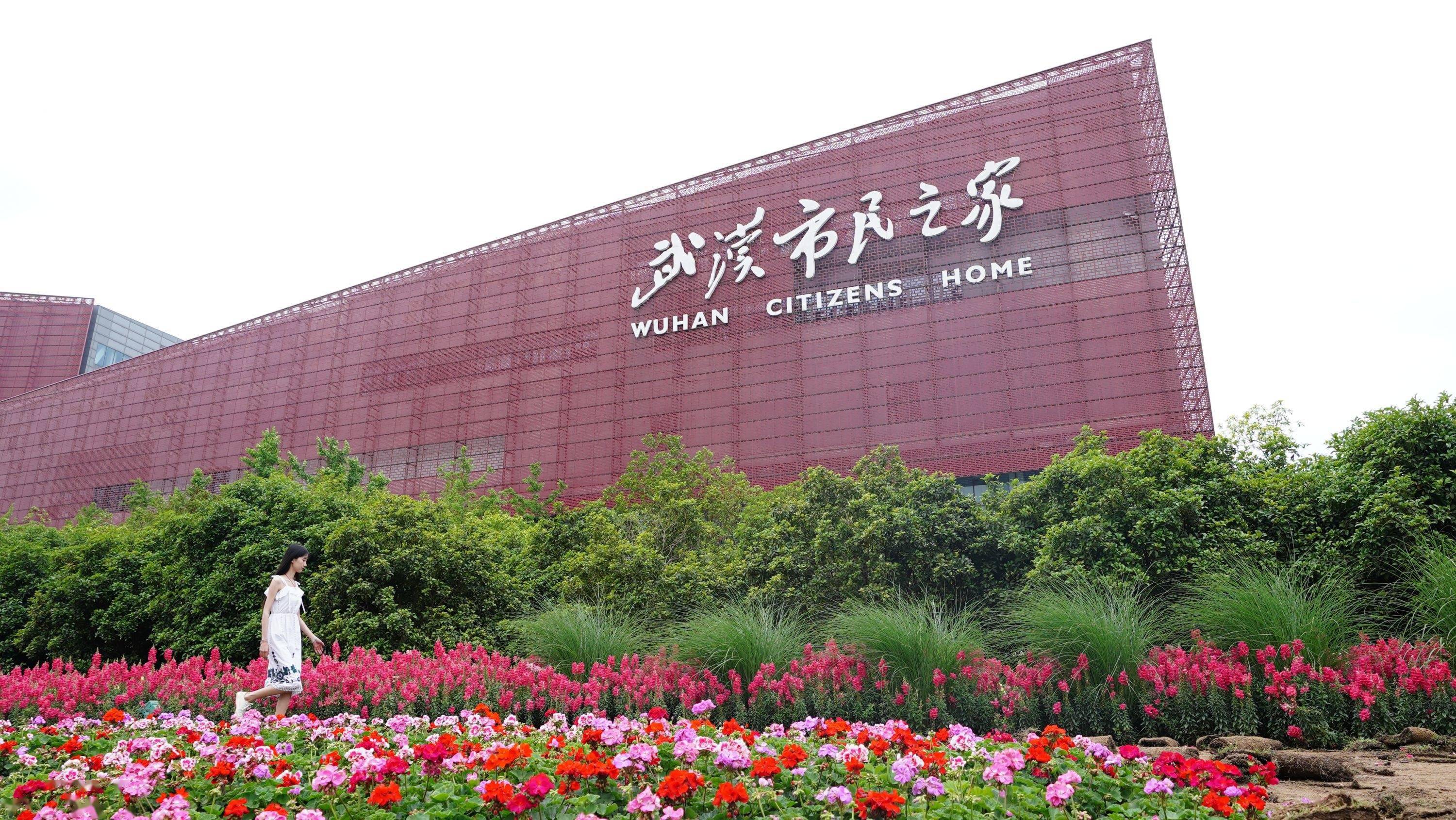 斑斓的巨型植物"花毯"经过数日的栽植正式亮相武汉市民之家绿化带内