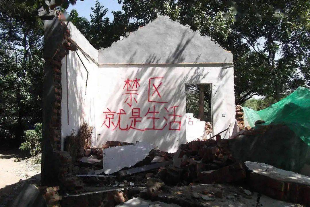 城市标语游览:要做爱不要作战._废墟