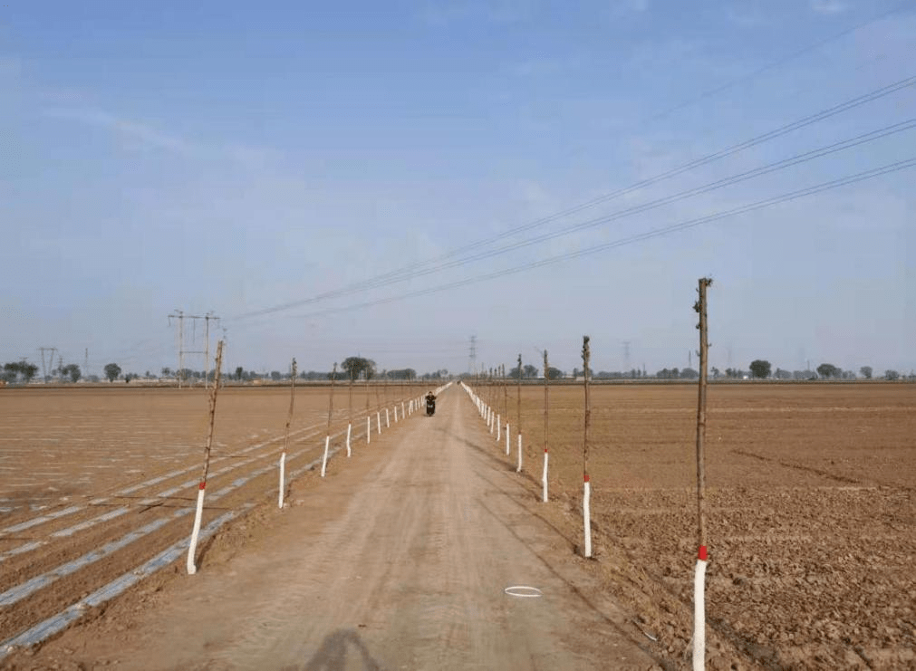 【换出新气象】文水县南武乡为人民办实事谋福祉