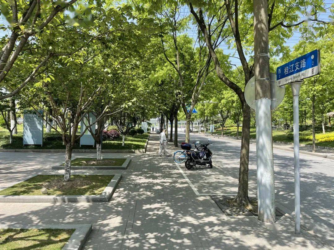 城市探索上海到底有多少支路