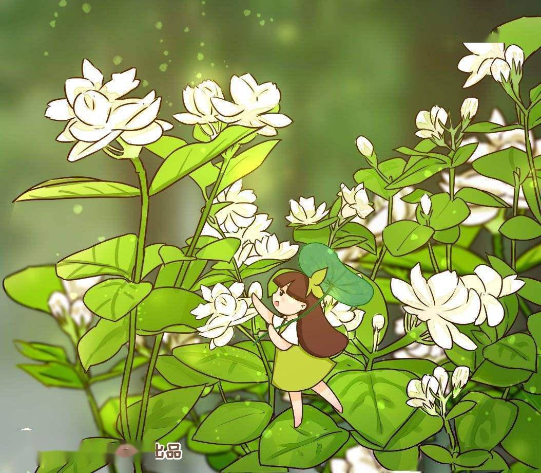好一朵美丽的茉莉花 茉莉花不会养 现在就教你 开花开不停 光照