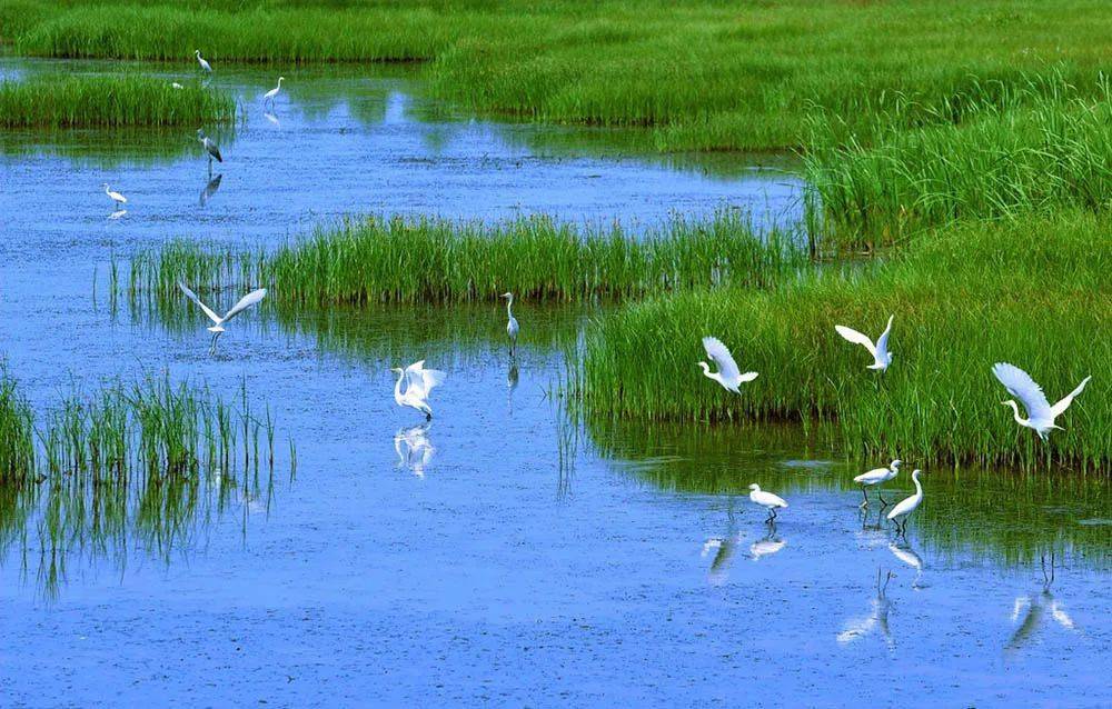 在京山,与鸟邂逅山水间