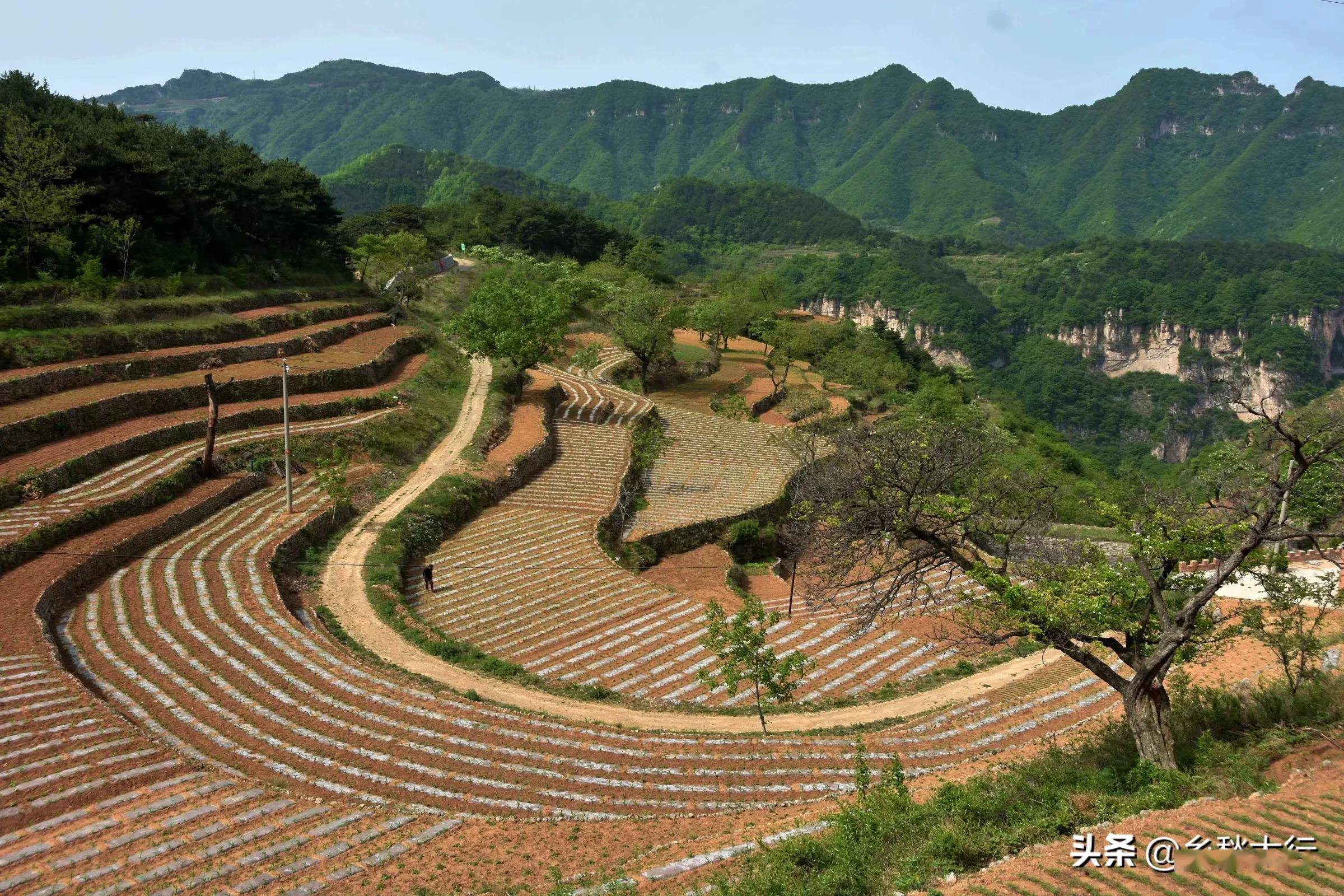 太行春天之乡村梯田三