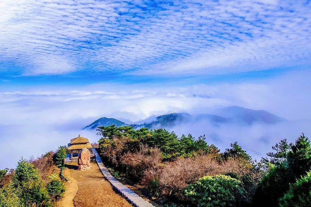 春游丽水:景宁有一条“红绿畲”路线送给你_畲族风情
