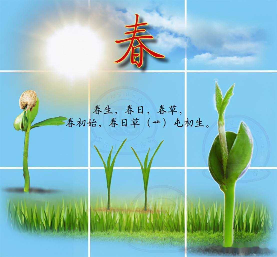 今天是五四青年节青春的力量青春一词源自何处