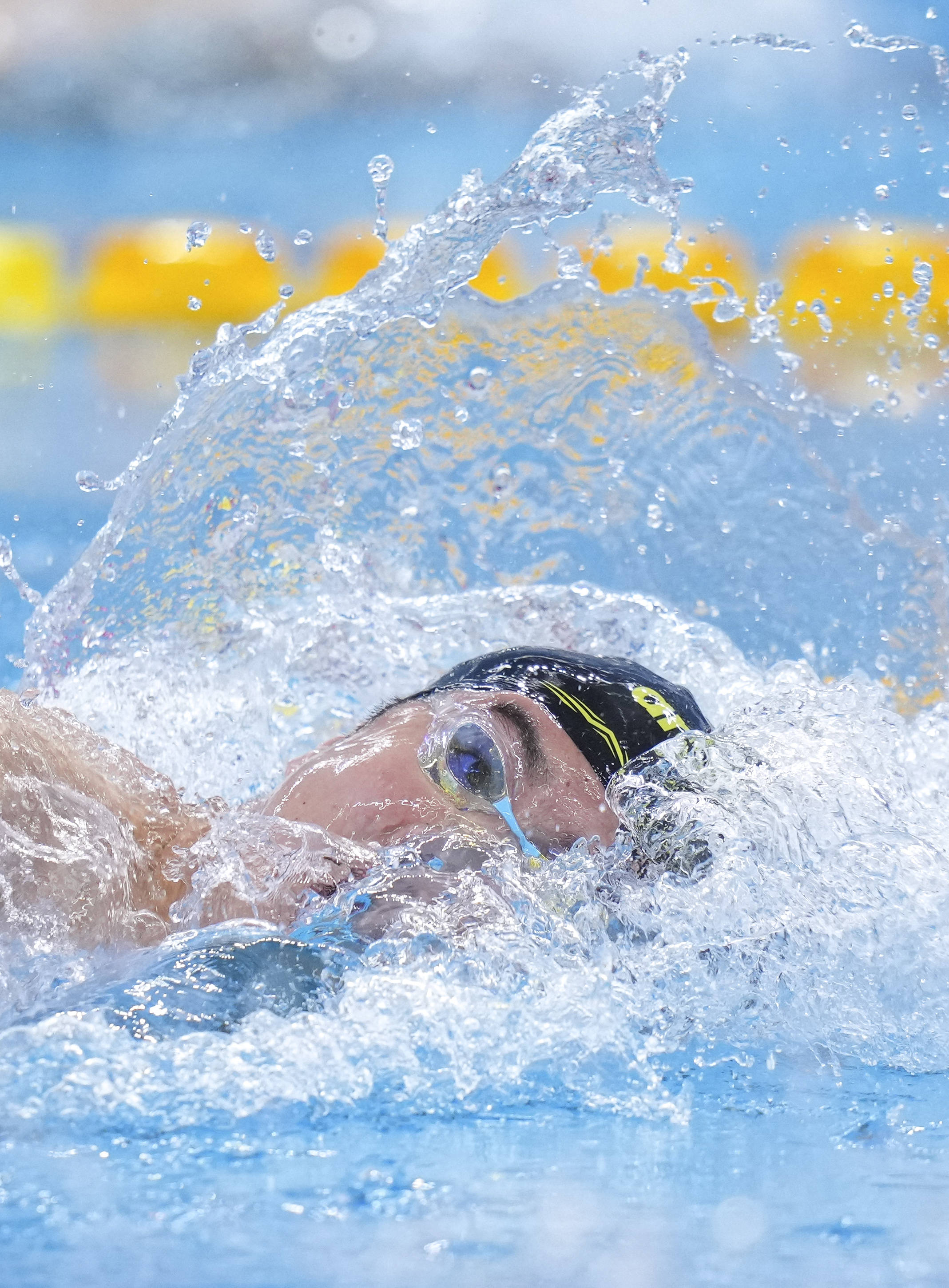 游泳——全国冠军赛:程龙获男子800米自由泳冠军