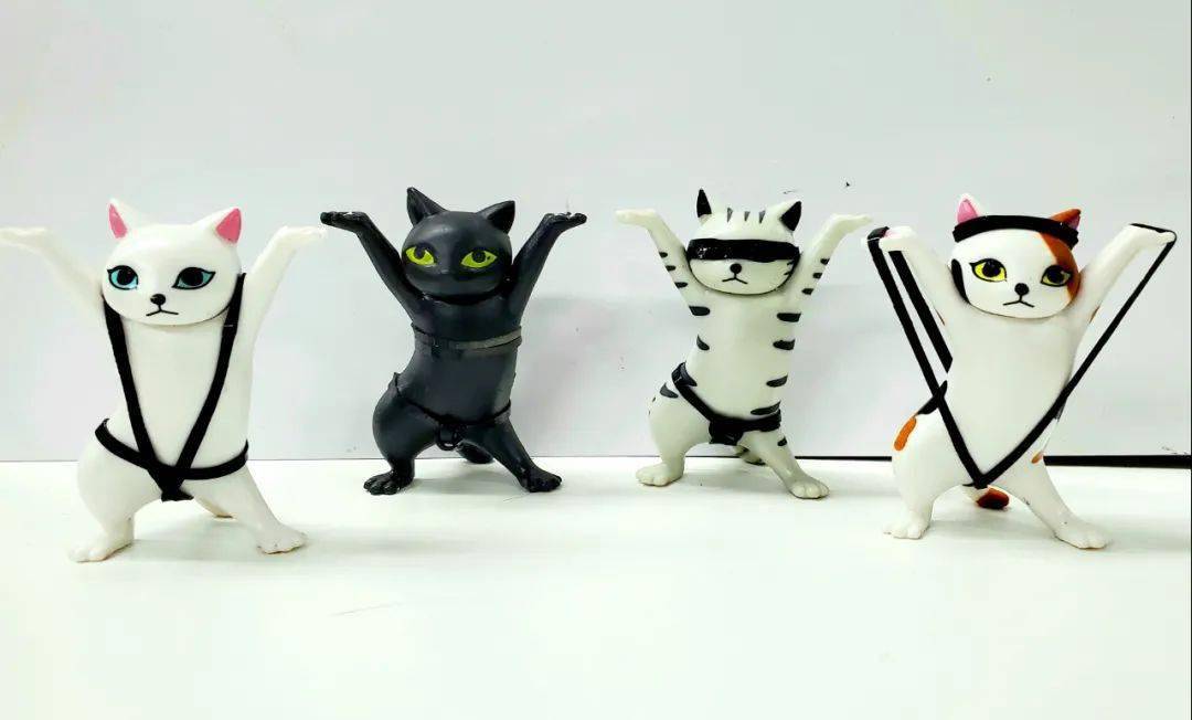 给妖娆猫穿上比基尼后,只想说"你好骚啊,我好喜欢!"_皮筋