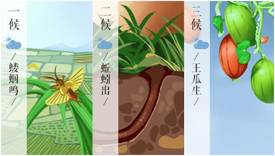 立夏有三侯,一候蝼蝈鸣,二侯蚯蚓出,三候王瓜生.