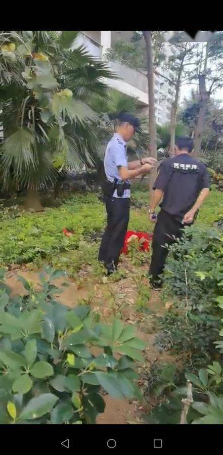 网传三亚红衣女子阳台外跳舞拍视频坠亡警方回应