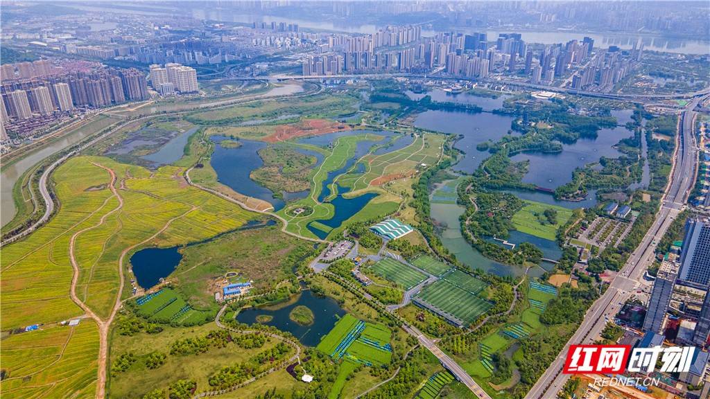 航拍洋湖湿地.图/刘科