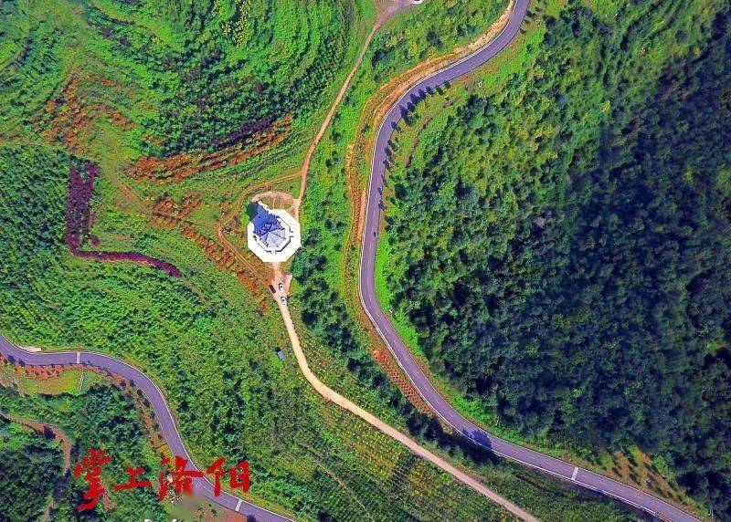 洛阳孟津最美公路图片