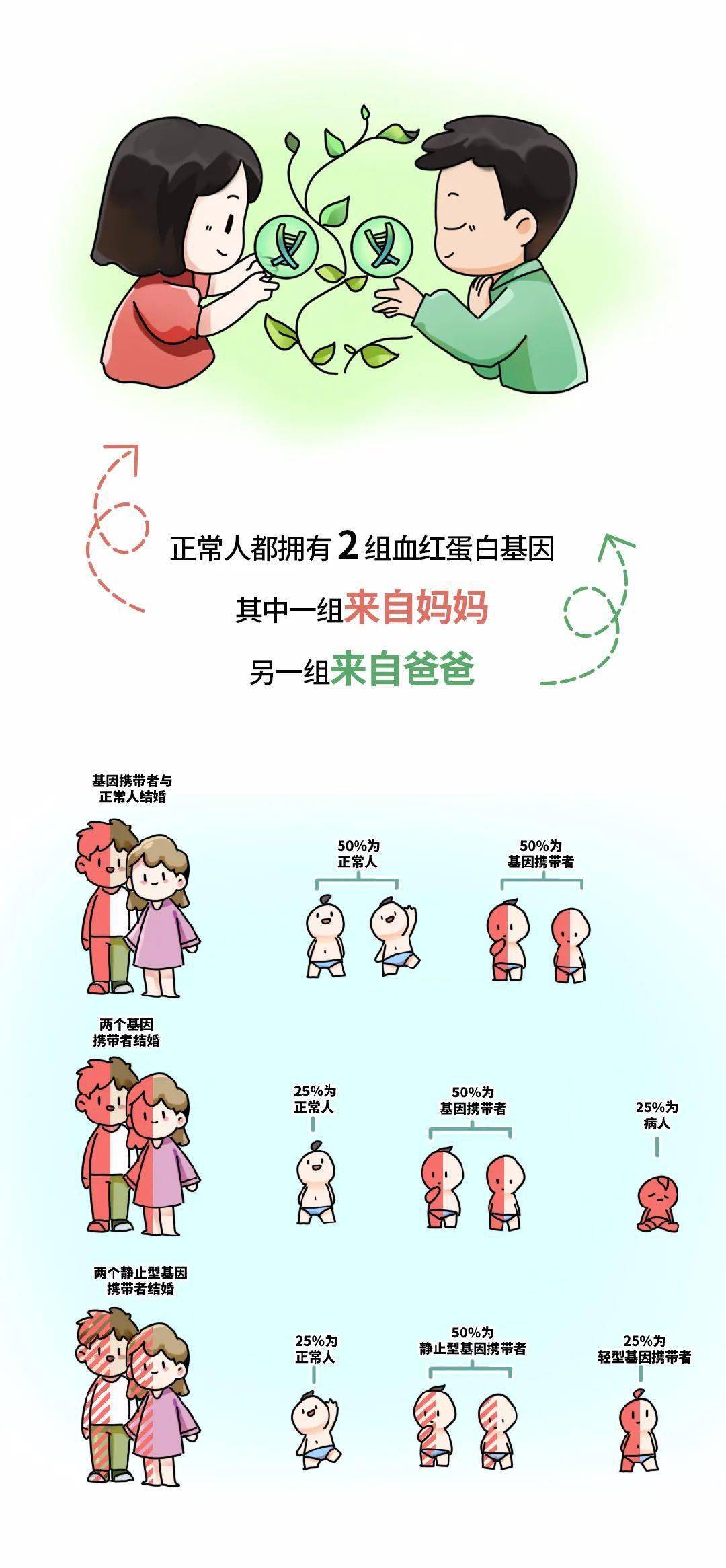 世界地贫日预防地中海贫血比预防地中海容易多了