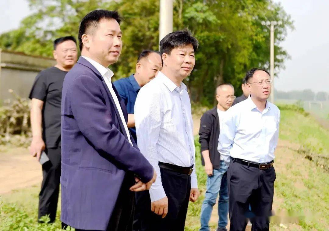 5月7日,新蔡县委书记邵奉公深入到宋岗乡,南湖街道,佛阁寺镇,余店镇等