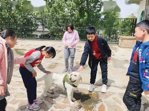 济南这位妈妈的故事 可能会看哭你 她曾是一位资深记者 如今是一所特殊学校的校长 张洪波