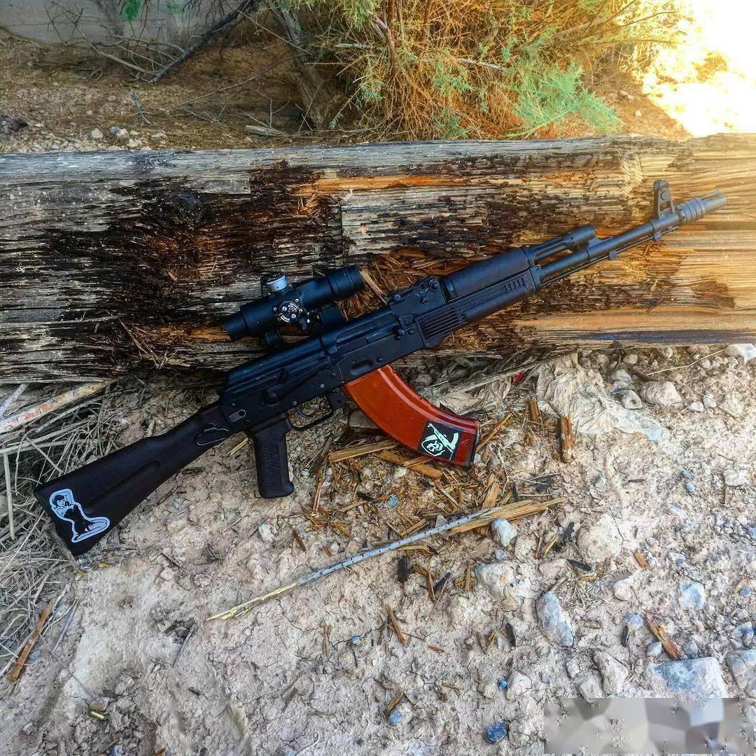 【阿森纳公司武器图集】挂着美国皮的保加利亚ak_火器