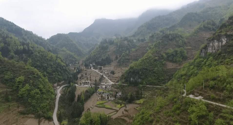 纳雍县水东镇怕那村村民 袁晓梅:我们这儿都是"百花蜜",为什么可以让