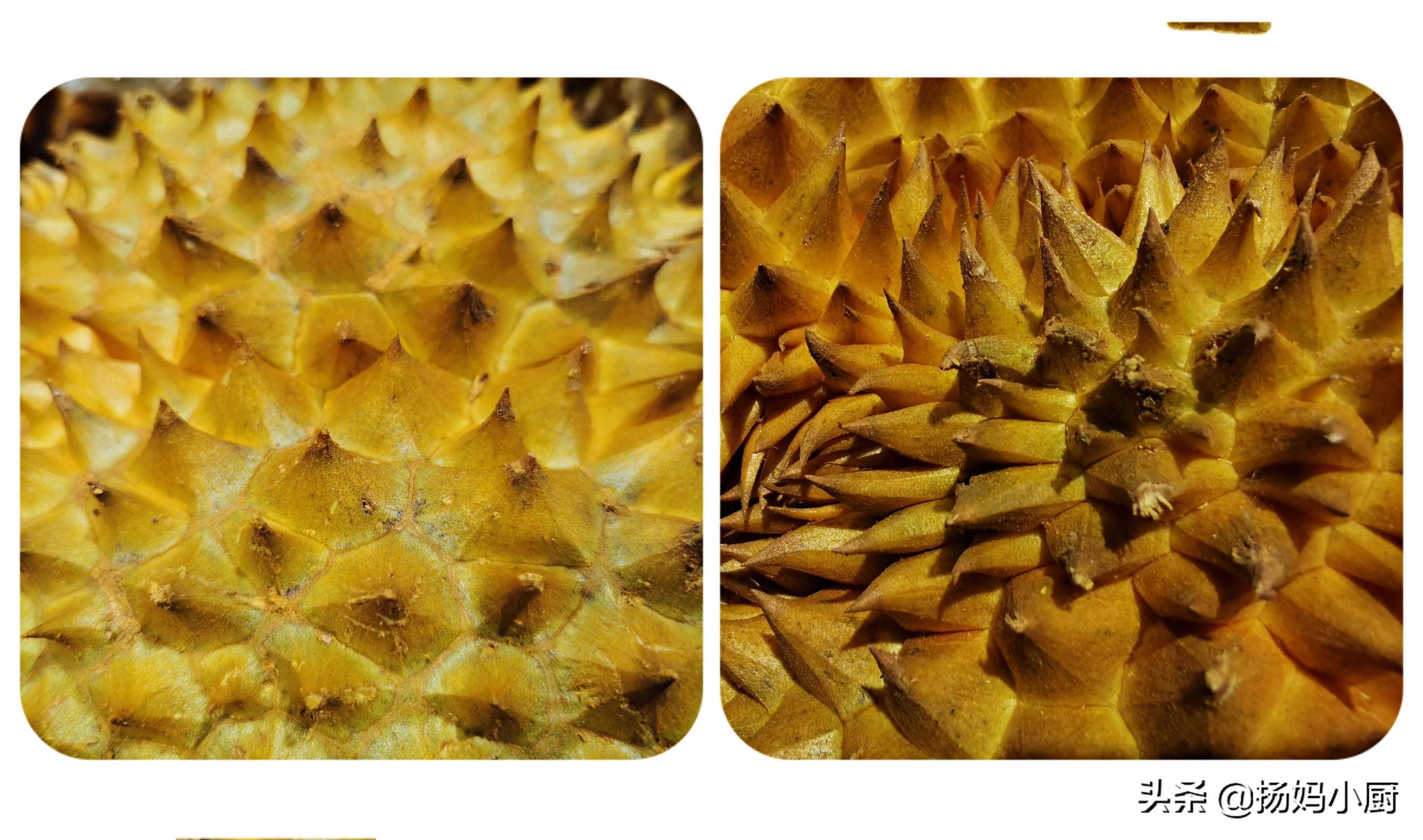 榴莲也分公母教你3个挑选技巧买到的榴莲肉多饱满太实用了