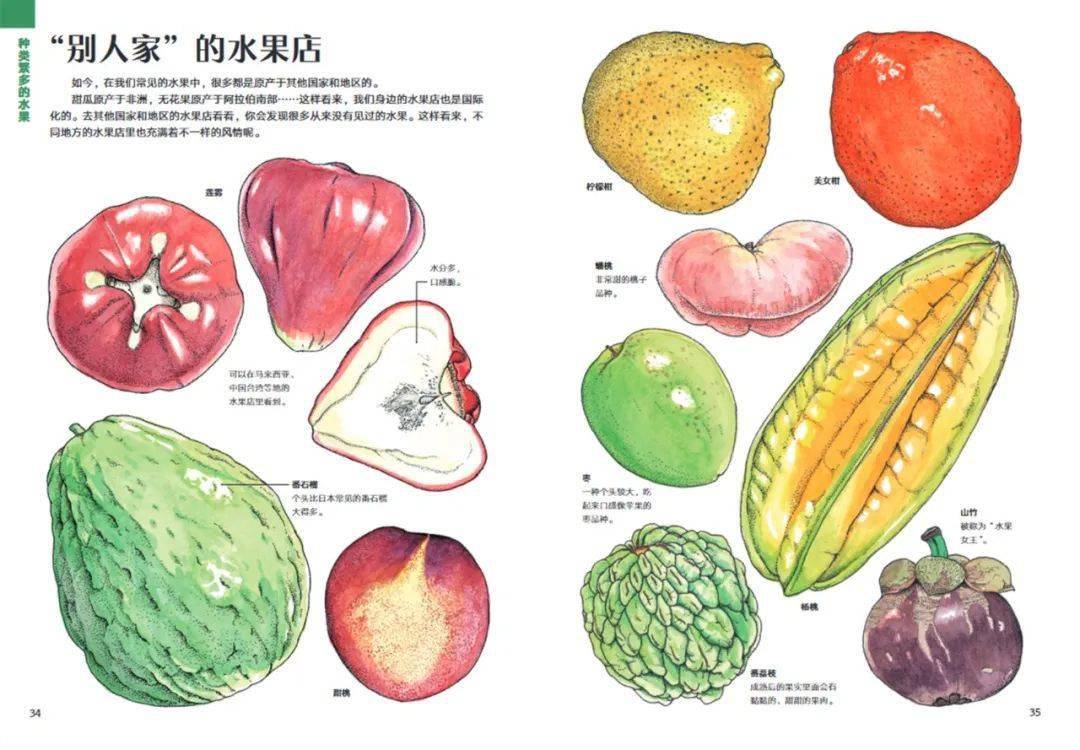 书单推荐丨读了像西瓜一样清爽的文字,才叫过夏天～_水果