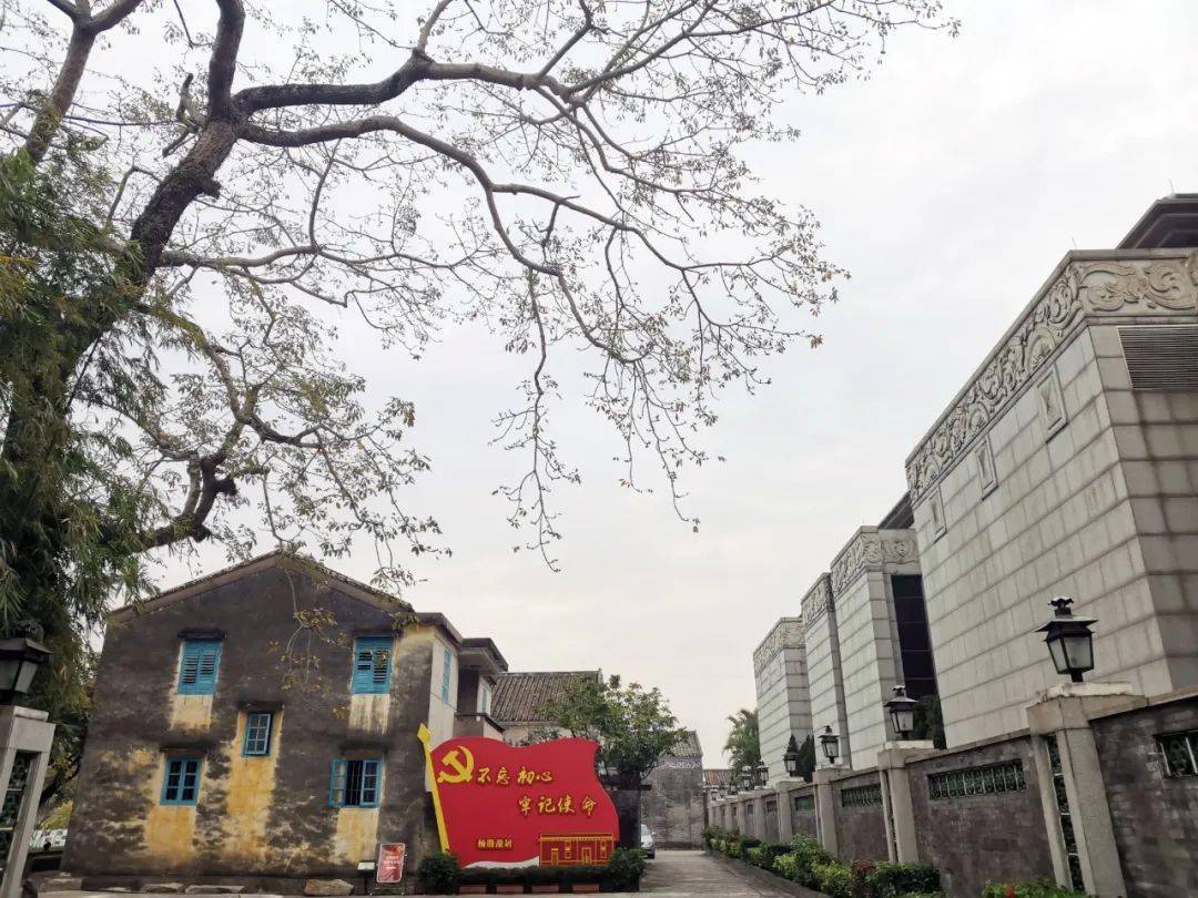 【百城访初心】木棉花红映中山_杨殷