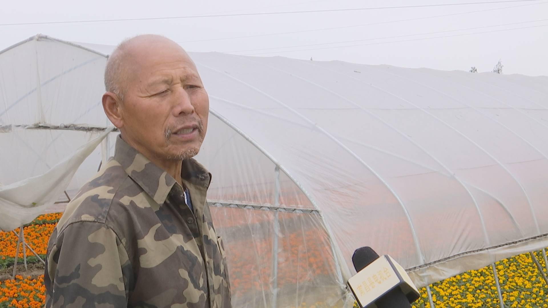 乡村振兴进行时南昌县广福镇北头村强化产业带动助推乡村振兴