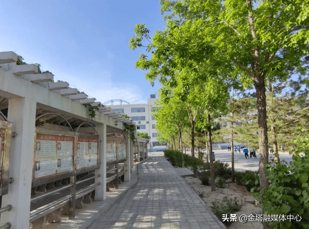 金塔县第三中学:书香美景惹人醉