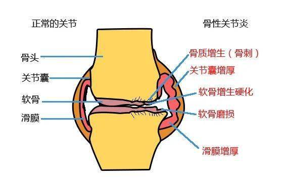 膝组什么成语_成语故事图片(3)