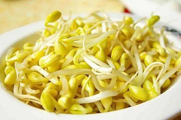 保胃健康 | 黄豆芽、黑豆芽、绿豆芽:调理好脾胃,该吃哪一种?